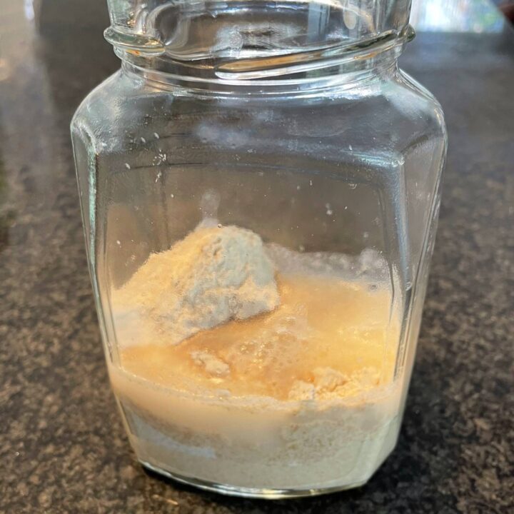 Sourdough Starter