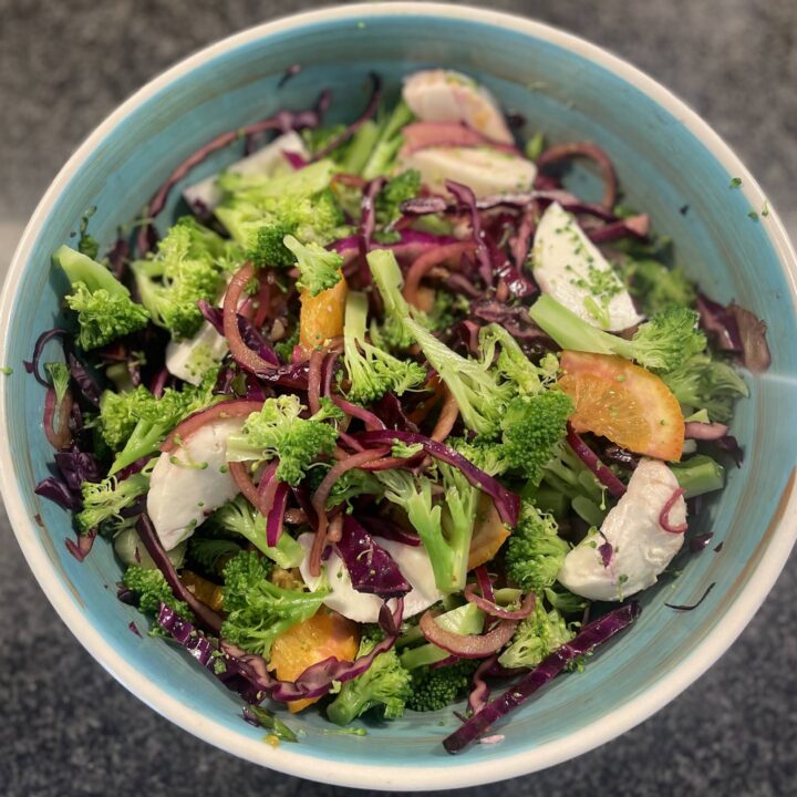 Buffalo Mozzarella, Broccoli, Red Cabbage and Orange Salad
