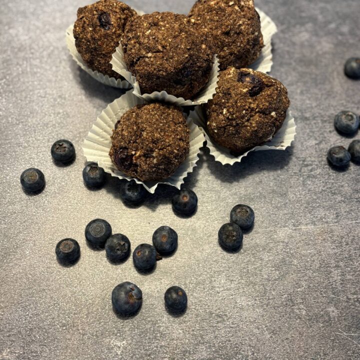 Vegan Blueberry Chocolate Protein Balls