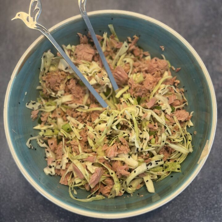 Tuna Asian Slaw